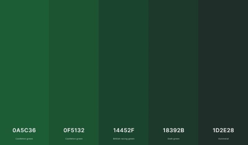 Màu xanh ve chai là màu gì? Bí quyết phối đồ với tông màu này