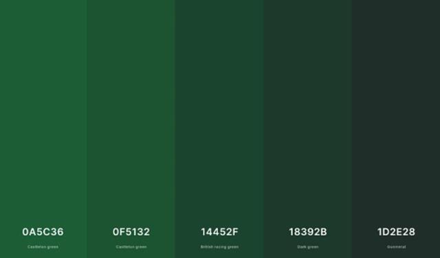 Màu xanh ve chai là màu gì? Bí quyết phối đồ với tông màu này