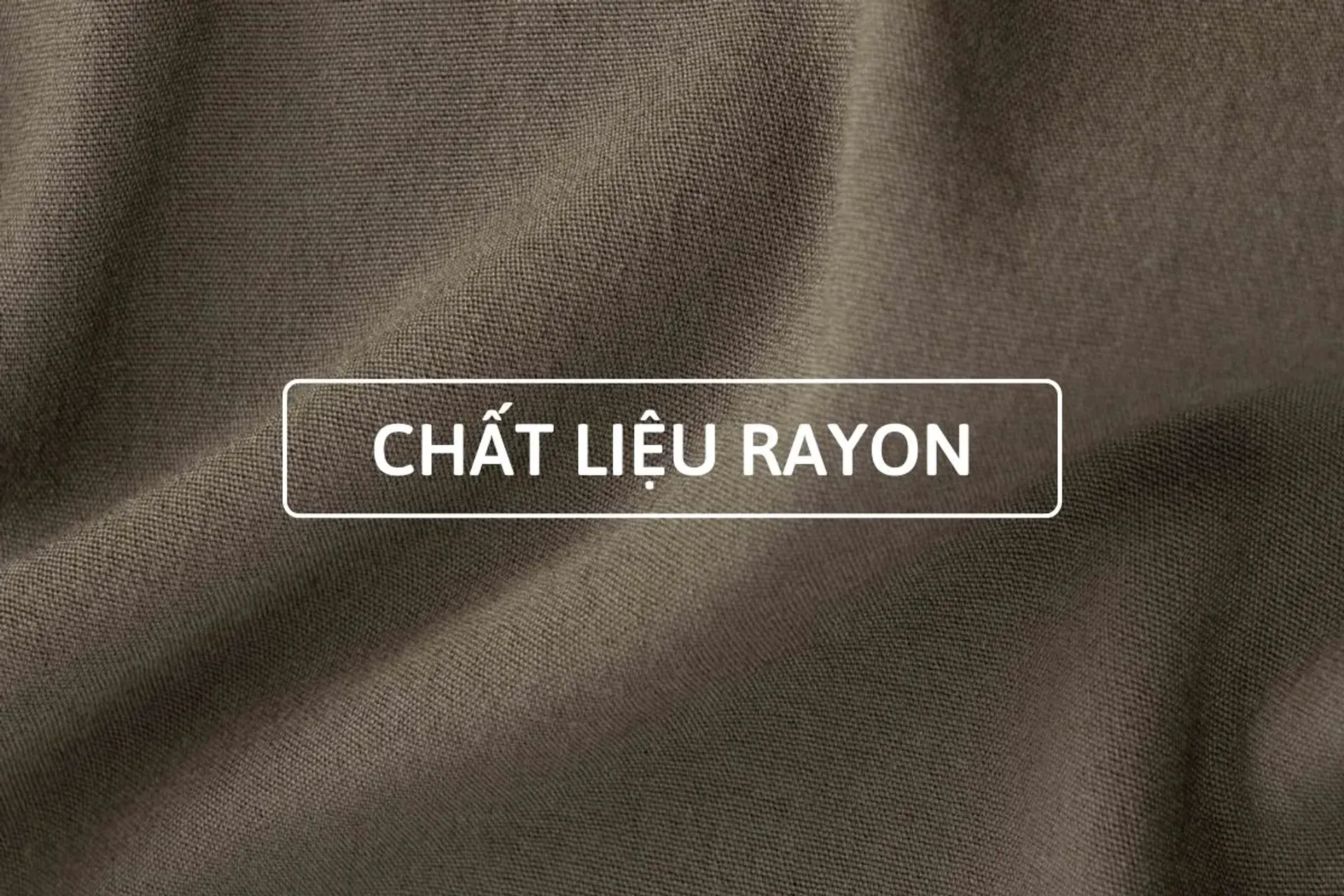 Vải Rayon Là Gì? Tại sao vải Rayon ngày càng thịnh hành